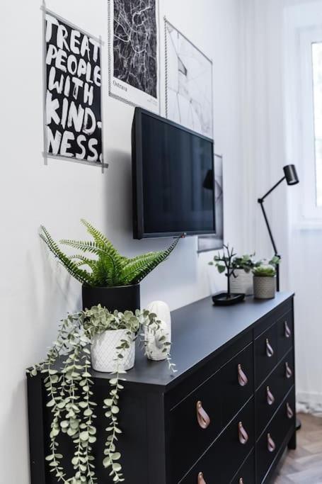 Apartmán Myslbekova 5 Ostrava Exteriér fotografie