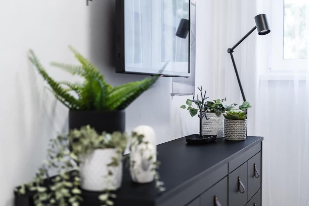 Apartmán Myslbekova 5 Ostrava Exteriér fotografie