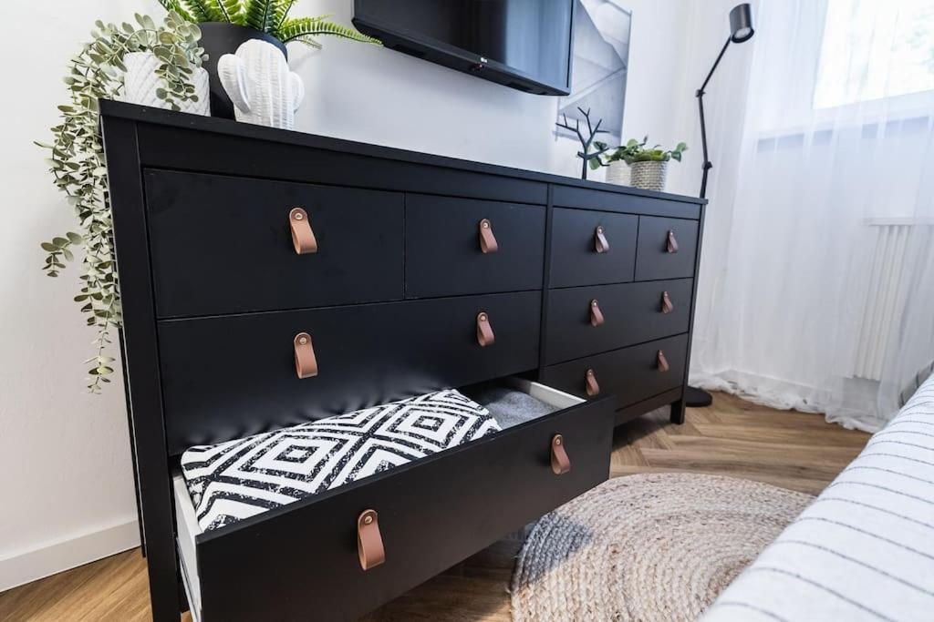 Apartmán Myslbekova 5 Ostrava Exteriér fotografie